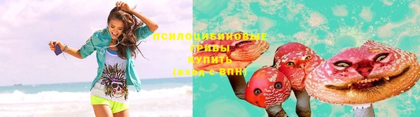 твердый Нягань