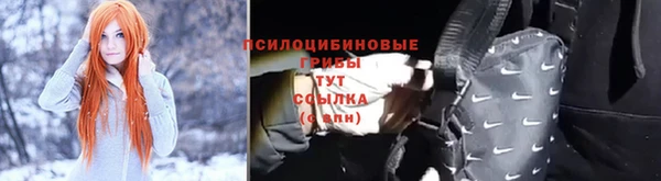 трава Нязепетровск