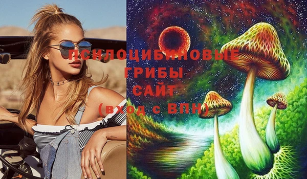 mix Няндома