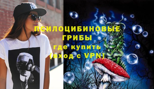 твердый Нягань