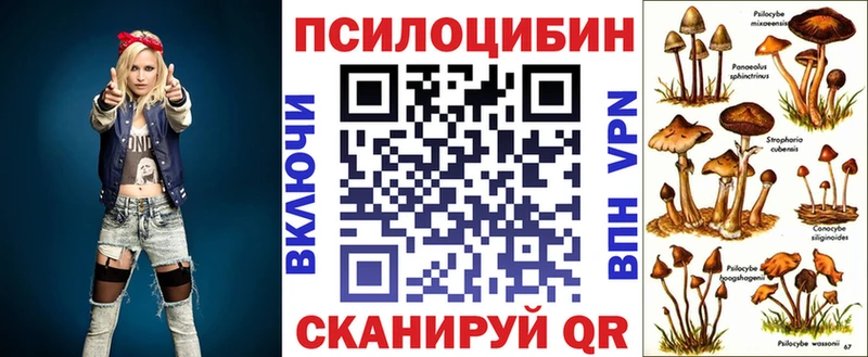 Псилоцибиновые грибы Psilocybine cubensis  kraken рабочий сайт  Пугачёв 